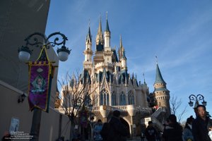 20180107135645_NIKON D7100.jpg